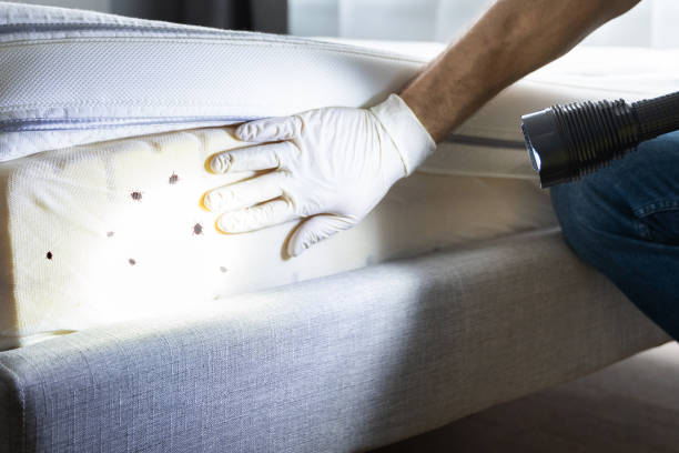 Best Pest Control Near Me  in Sorrento, LA