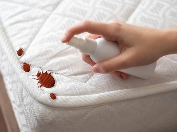 Best Pest Prevention Services  in Sorrento, LA