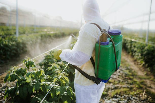 Best Wildlife Control Services  in Sorrento, LA